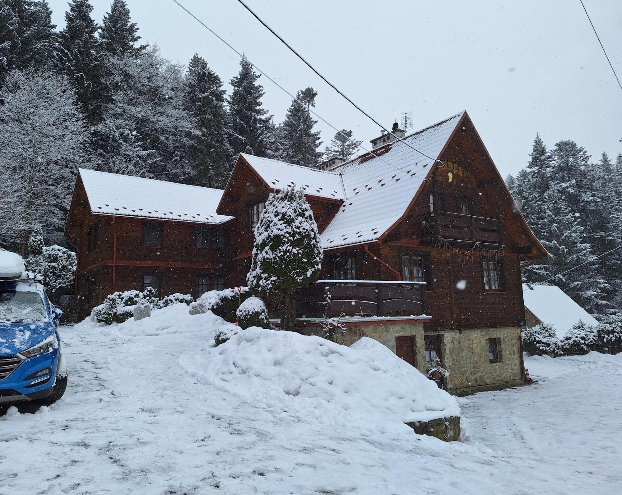Dom Goscinny Dudek Krynica-Zdrój Exterior foto
