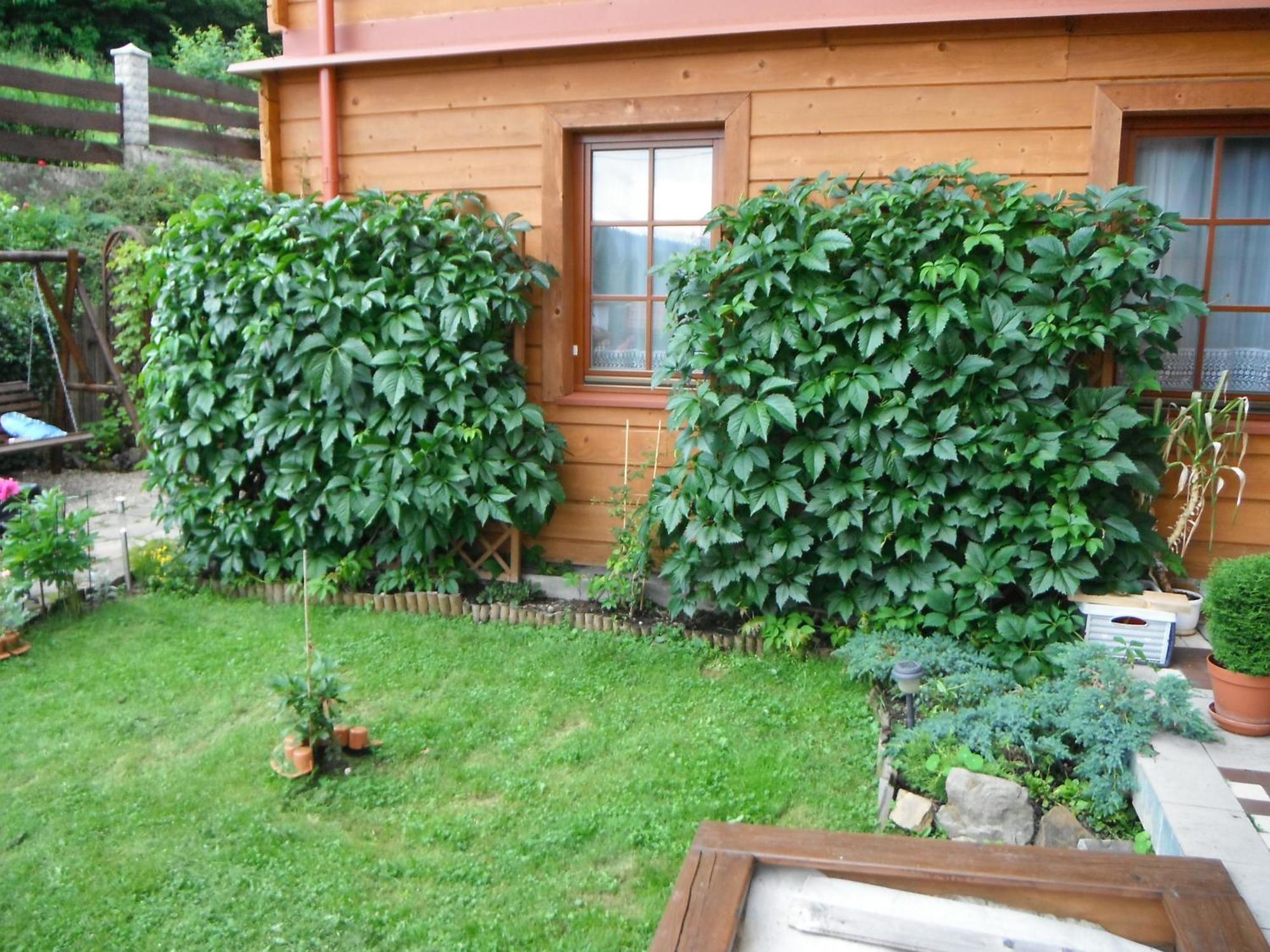 Dom Goscinny Dudek Krynica-Zdrój Exterior foto