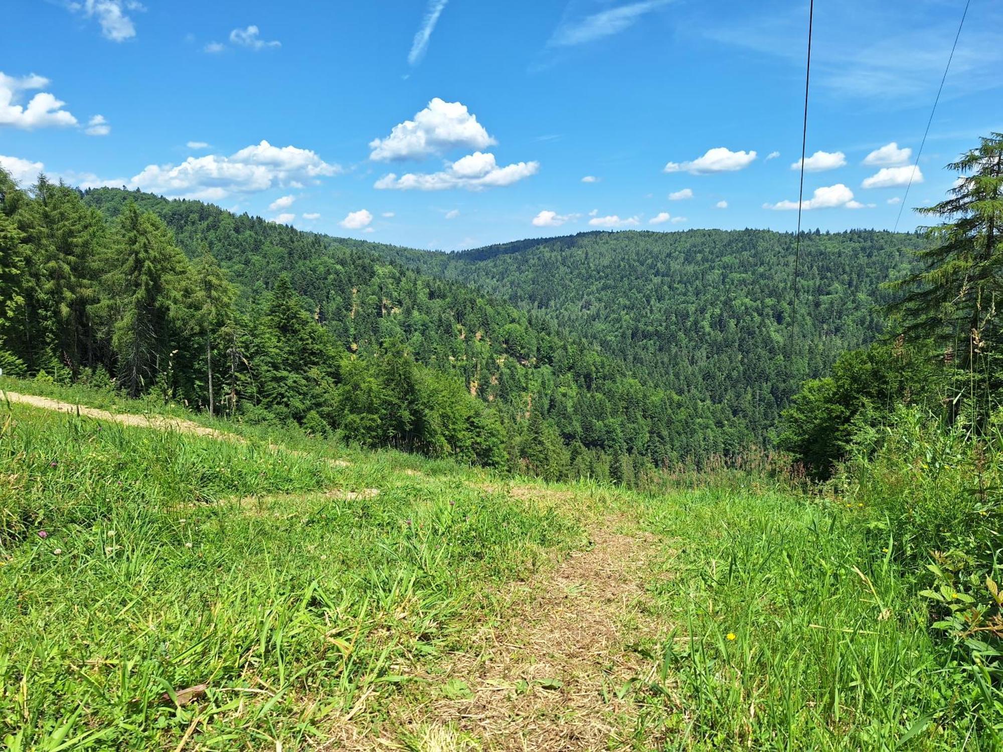 Dom Goscinny Dudek Krynica-Zdrój Exterior foto